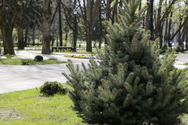 Парк в Краснодаре и улицу в станице назвали в честь кубанского митрополита Исидора пресс-служба администрации Краснодара