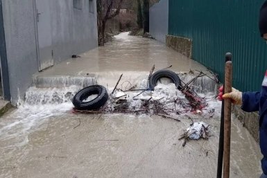 Администрация Центрального района Новороссийска