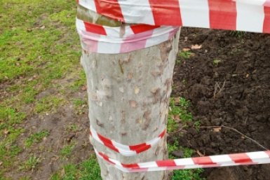 В центре Краснодара установят &quotсаркофаг&quot над шестиметровым провалом Ирина Ленская