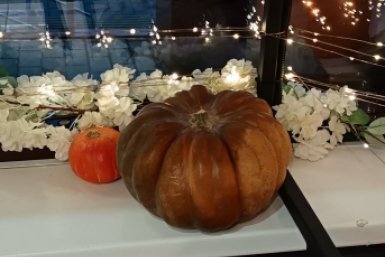 Тыква Автора