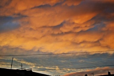 За три часа над Кубанью сбили 50 украинских дронов