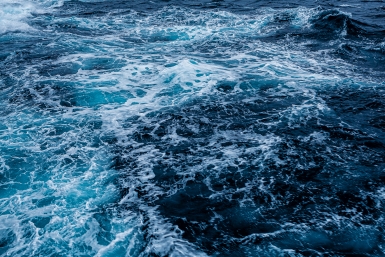 В Сочи объявили штормовое предупреждение из-за ветра и снега Мария Смитюк