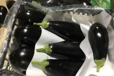  Южное межрегиональное управление Россельхознадзора