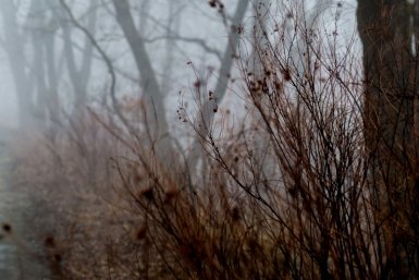 В лесах Башкирии нашли землянку кубанской отшельницы Александр Ратников