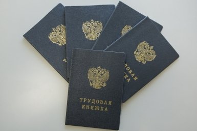 Кубань заняла второе место в ЮФО по перспективам трудоустройства Антон Балашов