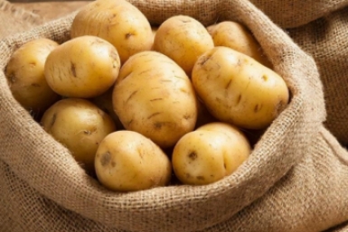 Дачники, сохраняйте: 3 сорта картошки, которые по 7 лет не вырождаются - крупные клубни мешками ИИ GigaChat (18+)