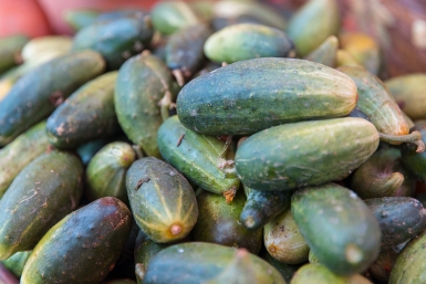 Посадила этот сорт - и собрала 45 кг огурцов с одного куста: не горчили, даже в банках остались хрустящими Илья Аверьянов, ИА PrimaMedia