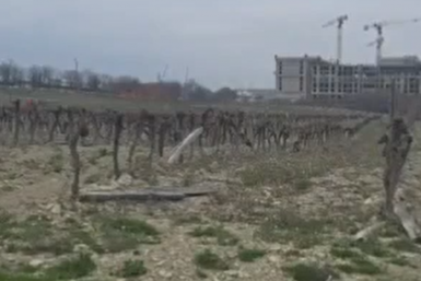  t.me/hmelevskoydl