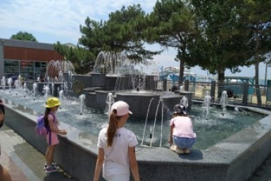 Туристический поток в Анапу может вернуться к прежним показателям Ирина Ленская