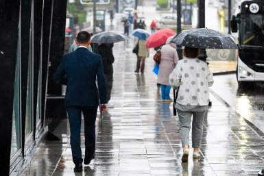 Воздух прогреется до +17°C Евгений Кулешов