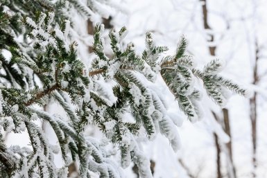 Опасный снегопад накроет горную часть Сочи в ближайшие часы Евгений  Кулешов