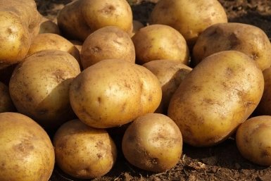 Картофель Автора