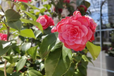 В Краснодарском крае температура превысит 20 градусов тепла