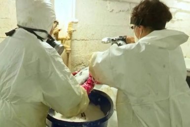 Анапский центр реабилитации помогает спасать птиц по проверенной методике