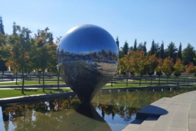 Новость дня