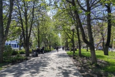 Жители Краснодара определят какой из семи скверов обновят в 2027 году