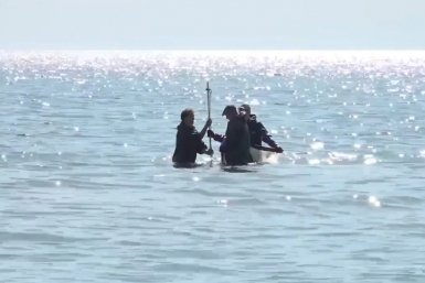 Скорость восстановления морского дна после мазута оценивают учёные в Анапе