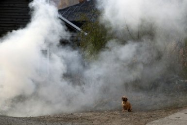 Роспотребнадзор советует жителям Туапсе не выходить на улицу и не открывать окна