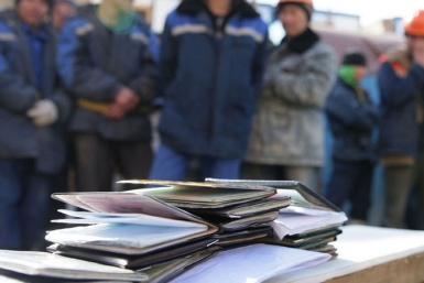 Под Краснодаром на овощебазе поймали 115 нелегалов