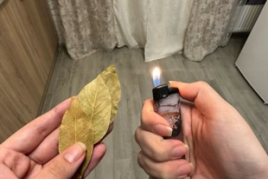 Поджигаю лавровый лист в квартире каждый апрель: старинный ритуал - как и зачем это делать