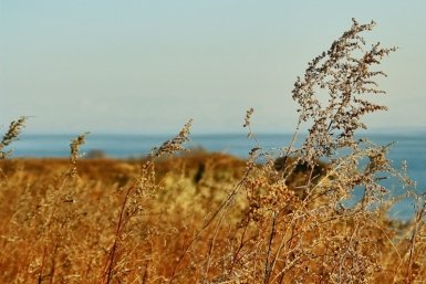 Климатологи раскрыли погодные сценарии экстремального лета на Кубани