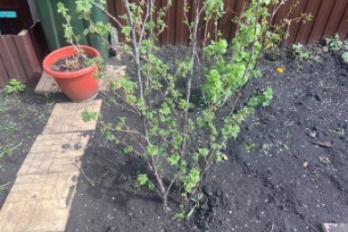 Дачники, успейте до 30 апреля - что нужно посеять в грунт, теплицу и на рассаду