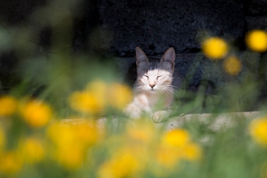 Новость дня