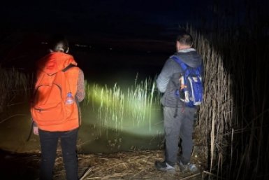 Новость дня