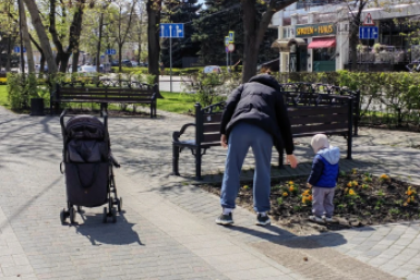 Сочи и Краснодар привлекают туристов близостью парков