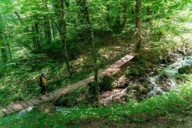 В горах Сочи открыли экотропы  для хайкинга