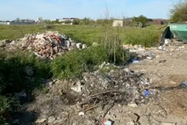 Камеры для охоты на серых мусорщиков появятся в Краснодаре Пресс-служба администрации Краснодара