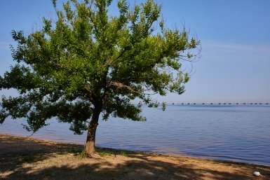Кубанские курорты захватили лидерство в рейтинге майского отдыха