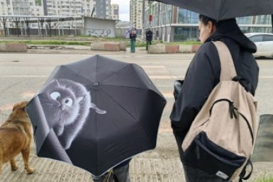 Экстренное предупреждение о сильном дожде и ветре объявили на Кубани