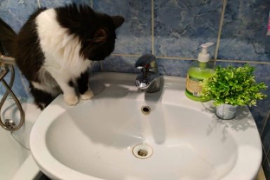 Платим за воду на 40% меньше: хитрость с краном и бачком унитаза