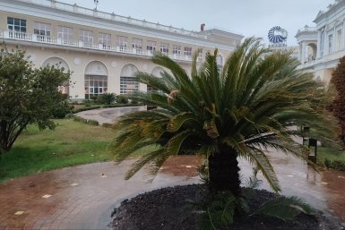 На Сочи за выходные выльется более половины месячной нормы осадков
