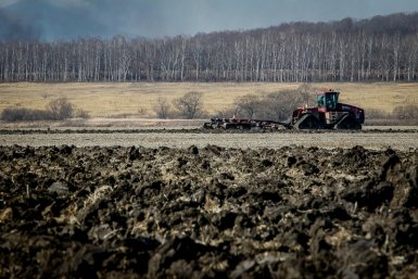 Более 2,1 тыс га озимых уничтожено градом в трёх районах Кубани Александр Ратников
