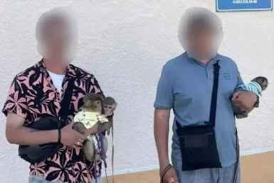 На курортах Кубани началась охота на фотоживодеров пресс-служба ГУ МВД России по Краснодарскому краю