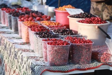 Краснодарцев приглашают на ярмарки выходного дня за свежими фруктами и зеленью