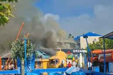 Пожар у океанариума в  Архипо-Осиповке ликвидируют 19 спасателей