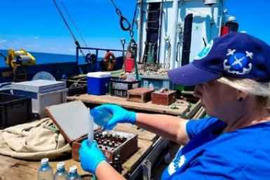 Ученые проанализировали экологию Черного моря у берегов Кубани