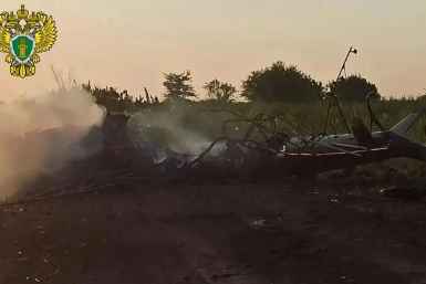 Вертолет Ми-2 рухнул в Краснодарском крае во время авиахимработ — пилот погиб