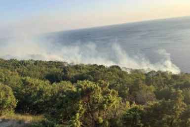 Пожарные борются с возгоранием леса в труднодоступной местности под Анапой t.me/krd_klpc