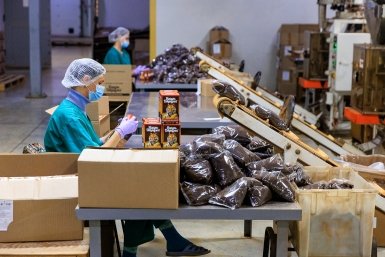 На Кубани запустили первый межрегиональный агропромышленный тур
