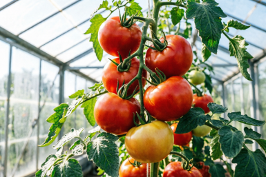 Тематическое фото Создано с помощью ИИ