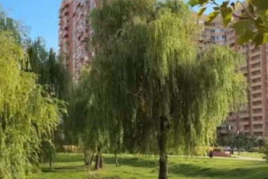 В сквере "Изумрудный" в Краснодаре установят 25 камер для безопасности