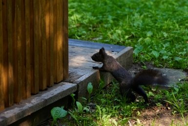 Горячий Ключ вошёл в ТОП-10 городов для трёхдневного отдыха в августе
