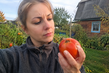 Помидоры размякли — а я только рада: перезрелым томатам нашла 2 отличных применения