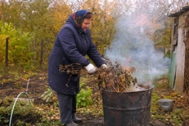 Оставьте сжигание ботвы в прошлом: немцы давно делают из нее удобрение — подойдет даже больная масса