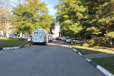 На Кубани питбули изуродовали лицо ребенку на частном водоеме