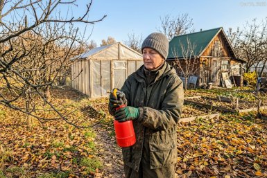 Никакой парши и вредителей: заливаю в опрыскиватель 1 осенний состав — и сад уходит в зиму абсолютно чистым